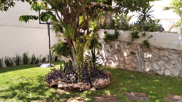 Greenbox Paisajismo y Riegos .' - ' Tips de mantenimiento de jardín