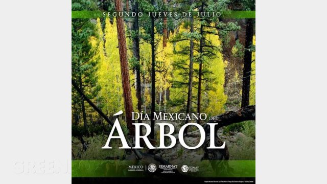Día mexicano del árbol Greenbox Paisajismo y Riegos
