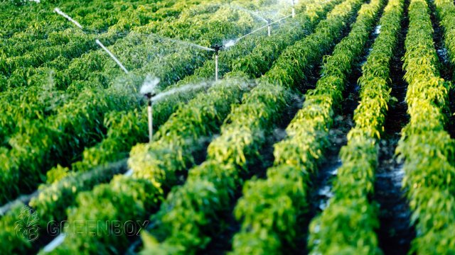 Greenbox Paisajismo y Riegos Asesoría Técnica