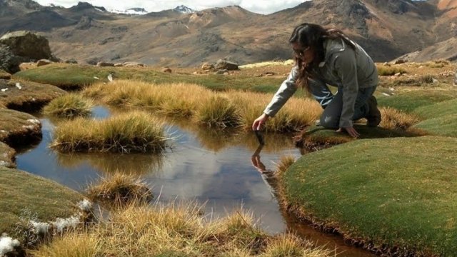 Greenbox Paisajismo y Riegos Asesoría Técnica: Medio ambiente